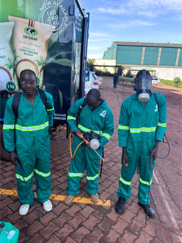The Importance of Professional Fumigation Services