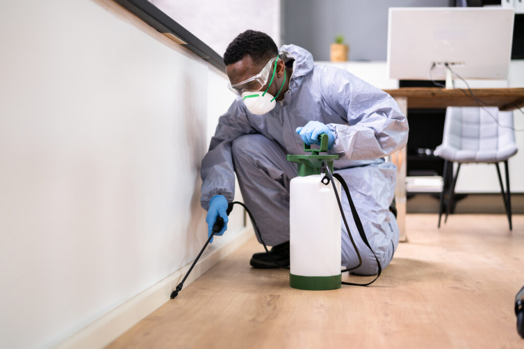 pest control exterminator man spraying termite pesticide
